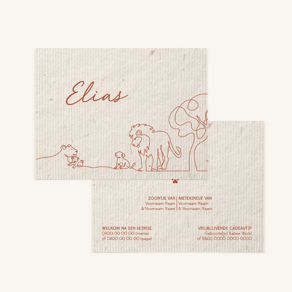 Geboortekaartje - collectie Elias