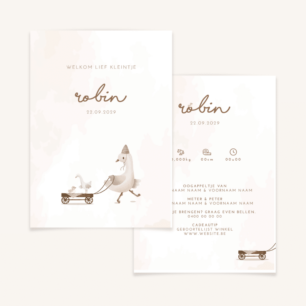 Geboortekaartje - collectie Robin