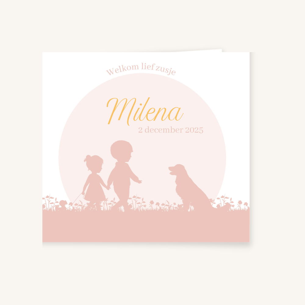 Geboortekaartje - collectie Milena